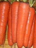 photo: You can buy Seed Kingdom Carrot Tendersweet Great Heirloom Vegetable Seeds (5,000 Seeds) online, best price $3.95 new 2024-2023 bestseller, review