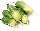 photo: You can buy David's Garden Seeds Radish Green Luobo Improved 5453 (Green) 200 Non-GMO, Open Pollinated Seeds online, best price $3.95 new 2024-2023 bestseller, review