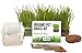 photo Cat Grass Growing Kit - 3 Pack Organic Seed, Soil and BPA Free containers (Non GMO). All of Our Seed is Locally sourced! 2024-2023