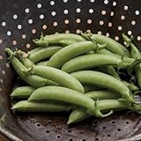 photo: You can buy David's Garden Seeds Pea Snap Sugar 3155 (Green) 100 Non-GMO, Heirloom Seeds online, best price $3.45 new 2024-2023 bestseller, review