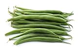 photo: You can buy Green Bean Seeds for Planting - Provider - Bush Bean - 50 Seeds - Heirloom Non-GMO Vegetable Seeds for Planting online, best price $5.49 ($0.11 / Count) new 2024-2023 bestseller, review