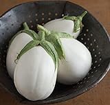 photo: You can buy David's Garden Seeds Eggplant Paloma (White) 25 Non-GMO, Hybrid Seeds online, best price $3.45 new 2024-2023 bestseller, review