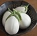 photo David's Garden Seeds Eggplant Paloma (White) 25 Non-GMO, Hybrid Seeds 2024-2023