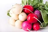 photo: You can buy Easter Egg Radish Seeds online, best price $4.49 new 2024-2023 bestseller, review