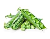 photo: You can buy Green Arrow Pea Seeds online, best price $5.49 new 2024-2023 bestseller, review