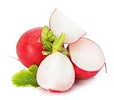 photo: You can buy Cherry Belle Radish Seeds online, best price $5.89 new 2024-2023 bestseller, review