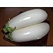 photo Casper Eggplant Seeds (30+ Seed Package) 2024-2023
