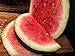 photo Bradford Watermelon Seed Packet Super Sweet Southern Heirloom 2024-2023