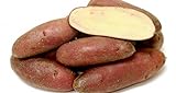 photo: You can buy French Fingerling Potato 6 Tubers - Heirloom online, best price $7.50 new 2024-2023 bestseller, review