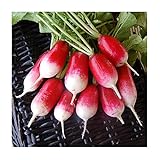 photo: You can buy David's Garden Seeds Radish French Breakfast 1331 (Red) 200 Non-GMO, Heirloom Seeds online, best price $3.45 new 2024-2023 bestseller, review