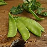 photo: You can buy Oregon Sugar Pod II Snow Pea - 50 Seeds - Heirloom & Open-Pollinated Variety, Easy-to-Grow & Cold-Tolerant, Non-GMO Vegetable Seeds for Planting Outdoors in The Home Garden, Thresh Seed Company online, best price $7.99 ($0.16 / Count) new 2024-2023 bestseller, review