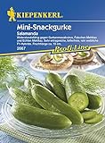 foto: jetzt Gurkensamen - Salatgurke Salamanda von Kiepenkerl Online, bester Preis 3,95 € neu 2024-2023 Bestseller, Rezension