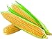 photo David's Garden Seeds Corn Super Sweet GSS1170 (Yellow) 100 Non-GMO, Hybrid Seeds 2024-2023