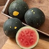 photo: You can buy David's Garden Seeds Fruit Watermelon Moon & Stars 5547 (Red) 50 Non-GMO, Heirloom Seeds online, best price $3.45 new 2024-2023 bestseller, review