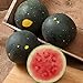 photo David's Garden Seeds Fruit Watermelon Moon & Stars 5547 (Red) 50 Non-GMO, Heirloom Seeds 2024-2023