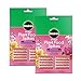 photo Miracle-Gro Orchid Plant Food Spikes, 2-Pack, 10 Spikes Per Pack 2024-2023