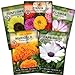photo Sow Right Seeds - Flower Seed Garden Collection for Planting - 5 Packets Includes Marigold, Zinnia, Sunflower, Cape Daisy, and Cosmos - Wonderful Gardening Gift 2024-2023