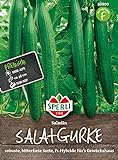 foto: jetzt 80900 Sperli Premium Gurken Samen Saladin | Schlangengurken Samen | Gurkensamen Gewächshaus | Samen Gurke | Salatgurken Samen Online, bester Preis 4,97 € neu 2024-2023 Bestseller, Rezension