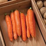 photo: You can buy David's Garden Seeds Carrot Bolero 1166 (Orange) 200 Non-GMO, Hybrid Seeds online, best price $4.45 new 2024-2023 bestseller, review