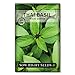 photo Sow Right Seeds - Sweet Large Leaf Thai Basil Seed for Planting; Non-GMO Heirloom Seeds; Instructions to Plant and Grow a Kitchen Herb Garden, Indoors or Outdoor; Great Gardening Gift 2024-2023