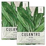 photo: You can buy Seed Needs, Culantro Seeds for Planting (Eryngium foetidum) Twin Pack of 300 Seeds Each Non-GMO - NOT Cilantro Seeds online, best price $8.85 ($0.03 / Count) new 2024-2023 bestseller, review