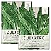 photo Seed Needs, Culantro Seeds for Planting (Eryngium foetidum) Twin Pack of 300 Seeds Each Non-GMO - NOT Cilantro Seeds 2024-2023