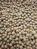 photo: You can buy Deer Creek Seed Austrian Winter Pea online, best price $26.00 new 2024-2023 bestseller, review