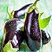 photo Eggplant Seed, Black Beauty, Heirloom, Non GMO, 50 Seeds, Vegetable 2024-2023