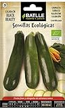 foto: jetzt Bio Samen - Zucchini Black Beauty (24-32 Samen - Bio) Online, bester Preis 4,83 € (24,15 € / kg) neu 2024-2023 Bestseller, Rezension