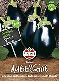 foto: jetzt 80667 Sperli Premium Aubergine Samen Galine | Frühe Sorte | Ertragreich | Aubergine Saatgut | Auberginen Samen Online, bester Preis 3,38 € neu 2024-2023 Bestseller, Rezension