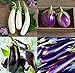 photo David's Garden Seeds Collection Set Eggplant 4432 (Multi) 4 Varieties 200 Non-GMO, Open Pollinated Seeds 2024-2023
