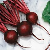 photo: You can buy Beet Seeds - Kestrel Variety Seeds - Untreated - Variety Seeds - Non-GMO - 250 Seeds online, best price $4.99 ($0.02 / Count) new 2024-2023 bestseller, review