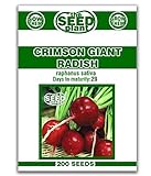 photo: You can buy Crimson Giant Radish Seeds - 200 Seeds Non-GMO online, best price $1.59 ($0.01 / Count) new 2024-2023 bestseller, review