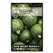 photo Sow Right Seeds - Round Zucchini Seed for Planting - Non-GMO Heirloom Packet with Instructions to Plant a Home Vegetable Garden - Great Gardening Gift (1) 2024-2023