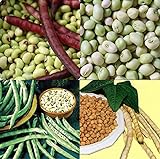 photo: You can buy David's Garden Seeds Collection Set Southern Pea (Cowpea) 3333 (Multi) 4 Varieties 400 Non-GMO, Open Pollinated Seeds online, best price $16.95 ($4.24 / Count) new 2024-2023 bestseller, review