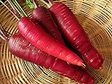 photo: You can buy 200+ Carrot Seeds- Cosmic Purple online, best price $4.39 new 2024-2023 bestseller, review