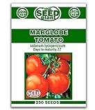 photo: You can buy Marglobe Tomato Seeds - 250 Seeds Non-GMO online, best price $1.59 ($0.01 / Count) new 2024-2023 bestseller, review