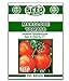 photo Marglobe Tomato Seeds - 250 Seeds Non-GMO 2024-2023