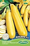 foto: jetzt Germisem Zucchini GOLDEN F1, mehrfarbig, EC4016 Online, bester Preis 3,68 € neu 2024-2023 Bestseller, Rezension