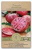 photo: You can buy Gaea's Blessing Seeds - Tomato Seeds - Cherokee Purple Slicing Tomato - Non-GMO Seeds with Easy to Follow Planting Instructions - Open-Pollinated 96% Germination Rate online, best price $6.99 new 2024-2023 bestseller, review