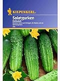 foto: jetzt Kiepenkerl Salatgurke DelikateÃŸ Online, bester Preis 1,82 € neu 2024-2023 Bestseller, Rezension