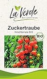 foto: jetzt Zuckertraube BIO Tomatensamen Online, bester Preis 3,25 € neu 2024-2023 Bestseller, Rezension