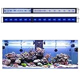 photo: You can buy KZKR LED Aquarium Light 60 -72 Inch Foldable Adjustable Fish Tank Light Hood Lamp for Freshwater Saltwater Marine Blue and White Decorations Light 5-6ft 150cm - 180cm online, best price $128.89 new 2024-2023 bestseller, review