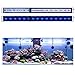 photo KZKR LED Aquarium Light 60 -72 Inch Foldable Adjustable Fish Tank Light Hood Lamp for Freshwater Saltwater Marine Blue and White Decorations Light 5-6ft 150cm - 180cm 2024-2023