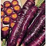photo: You can buy Purple Dragon Carrots Seeds (25+ Seeds)(More Heirloom, Organic, Non GMO, Vegetable, Fruit, Herb, Flower Garden Seeds (25+ Seeds) at Seed King Express) online, best price $4.69 new 2024-2023 bestseller, review