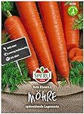 foto: jetzt Sperli Premium Möhren Samen Rote Riesen 2 ; Große kegelförmige Rüben ; Karotten Samen für ca. 1000 Karotten Online, bester Preis 2,17 € neu 2024-2023 Bestseller, Rezension