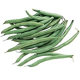 photo: You can buy Burpee Blue Lake 274 Bush Bean Seeds 2 ounces of seed online, best price $6.30 ($3.15 / Ounce) new 2024-2023 bestseller, review
