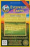 photo: You can buy Everwilde Farms - 100 Kandy Korn Hybrid Sweet Corn Seeds - Gold Vault Jumbo Seed Packet online, best price $3.96 new 2024-2023 bestseller, review