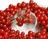 photo: You can buy 30+ Sweet Pea Currant Tomato Seeds, Heirloom Non-GMO, Extra Sweet and Heavy-Yielding, Low Acid, Indeterminate, Open-Pollinated, Long Season, Super Delicious, from USA online, best price $5.89 new 2024-2023 bestseller, review