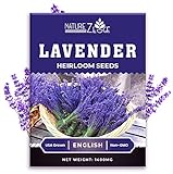photo: You can buy 1400 English Lavender Seeds for Planting Indoors or Outdoors, 90% Germination, to Give You The Lavender Plant You Need, Non-GMO, Heirloom Herb Seeds online, best price $5.99 ($0.01 / Count) new 2024-2023 bestseller, review